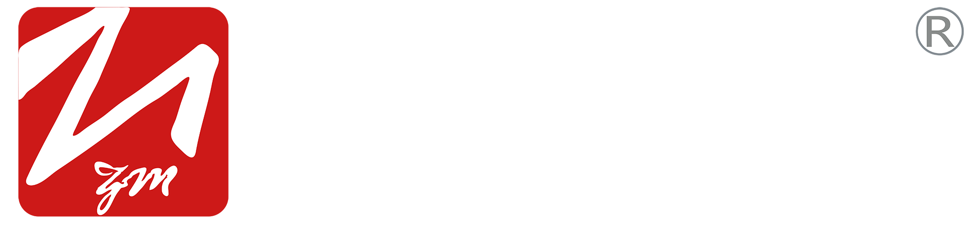 ZMTE